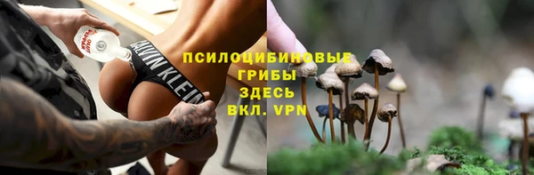 прущая мука Арсеньев