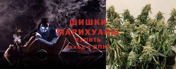ПСИЛОЦИБИНОВЫЕ ГРИБЫ Аркадак