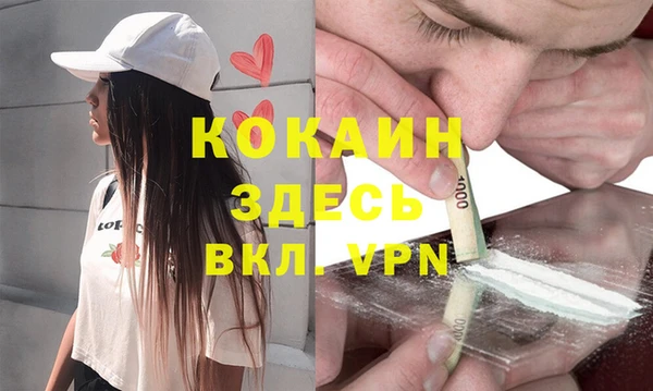 прущая мука Арсеньев