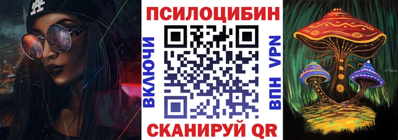 Галлюциногенные грибы Cubensis  купить   Новомичуринск 